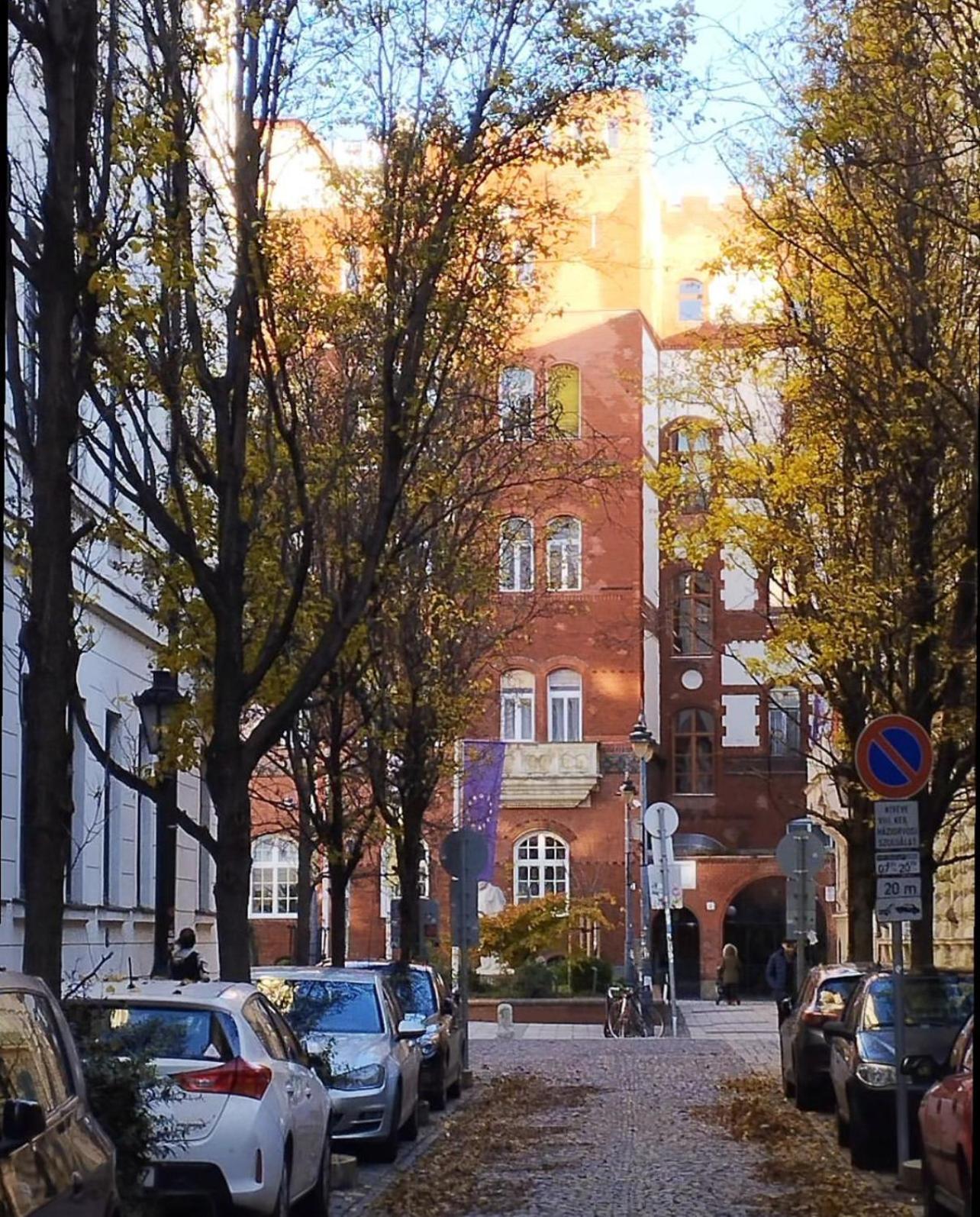 Cedar Inn Budapest - Palace District المظهر الخارجي الصورة